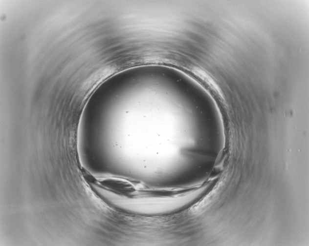 X0000088890801200706221838