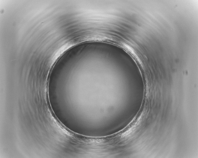 X0000088890802200706221838