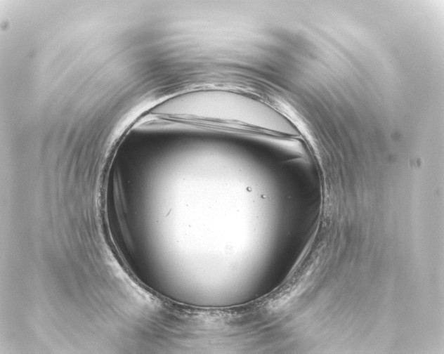 X0000088890803200706221838