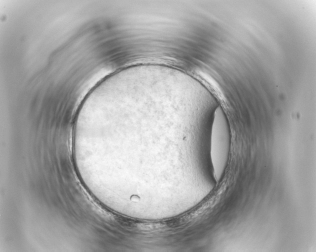 X0000088890804200706221838