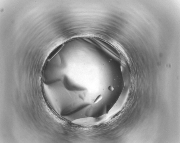 X0000088890805200706221838