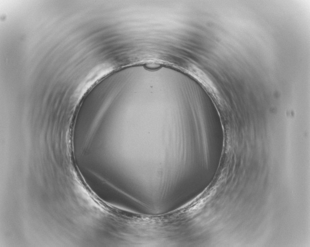 X0000088890806200706221838