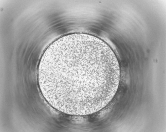 X0000088890807200706221838