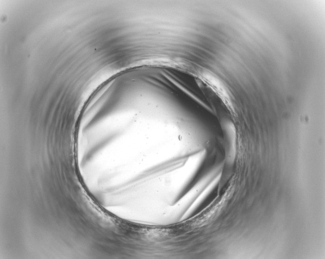 X0000088890808200706221838