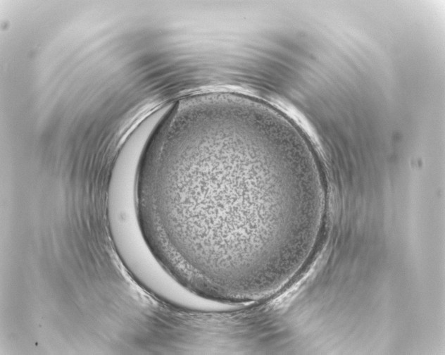 X0000088890809200706221838