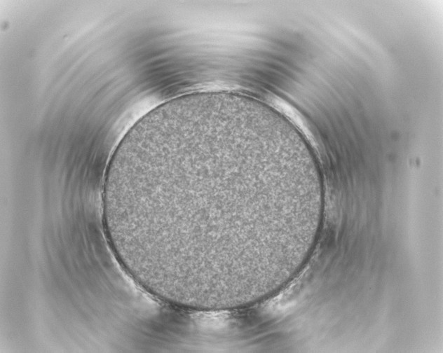 X0000088890810200706221838