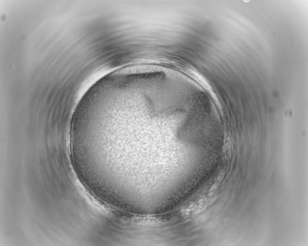 X0000088890811200706221838