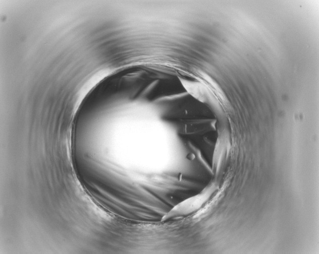 X0000088890812200706221838