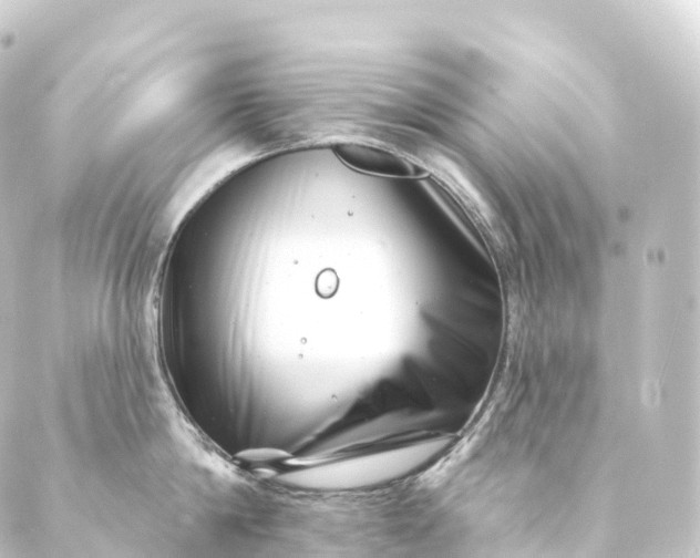 X0000088890814200706221838