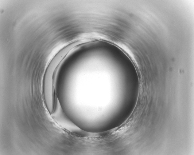 X0000088890815200706221838