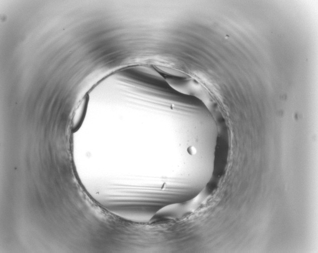 X0000088890816200706221838