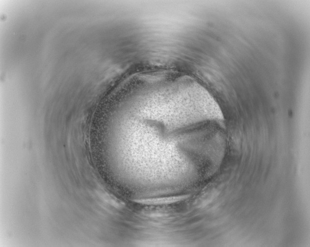 X0000088890817200706221837