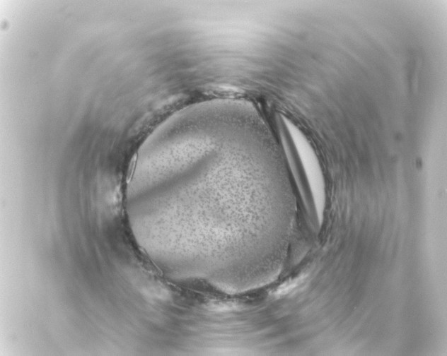 X0000088890818200706221837