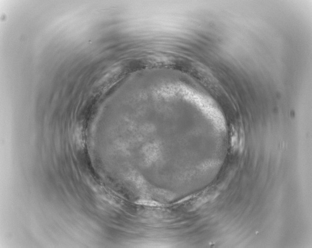 X0000088890819200706221837