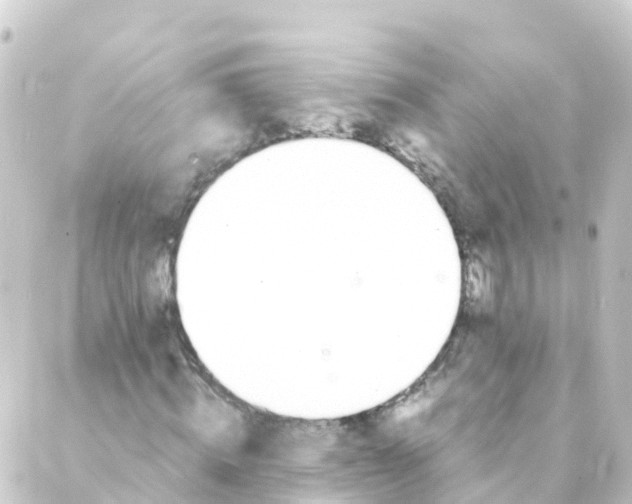 X0000088890820200706221837