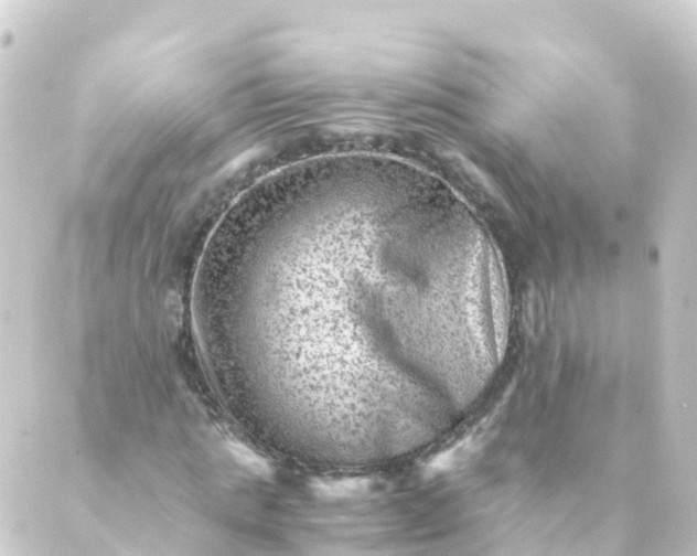 X0000088890821200706221837