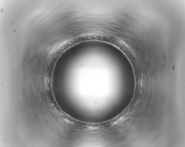 X0000088890822200706221837