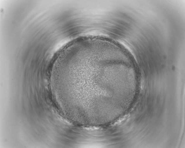 X0000088890823200706221837