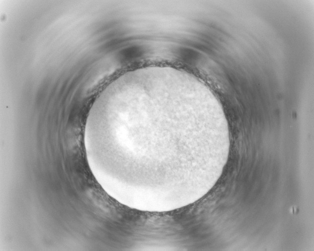 X0000088890824200706221837