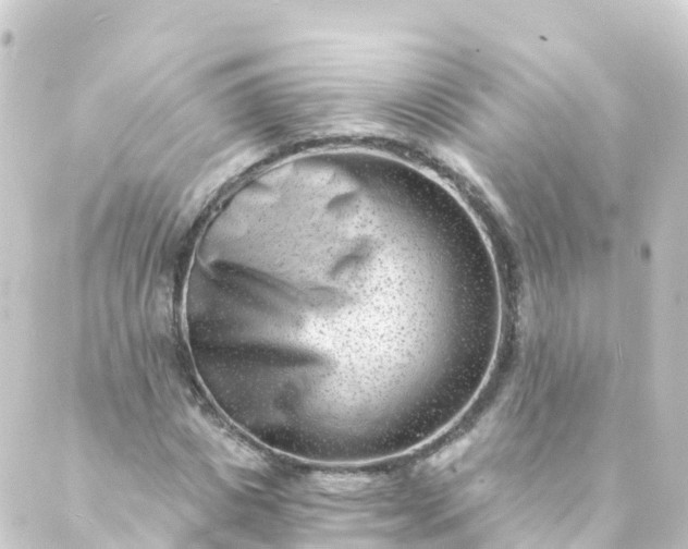 X0000088890825200706221837