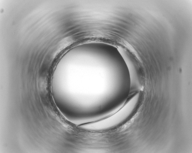 X0000088890826200706221837