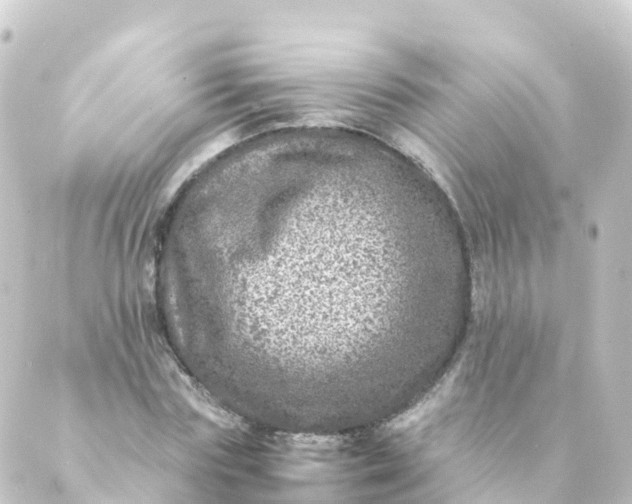 X0000088890827200706221838