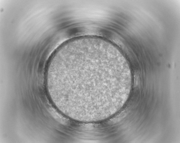 X0000088890828200706221838