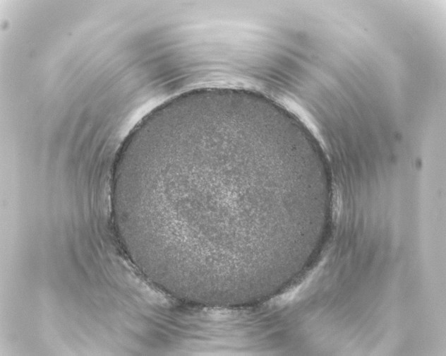 X0000088890829200706221838