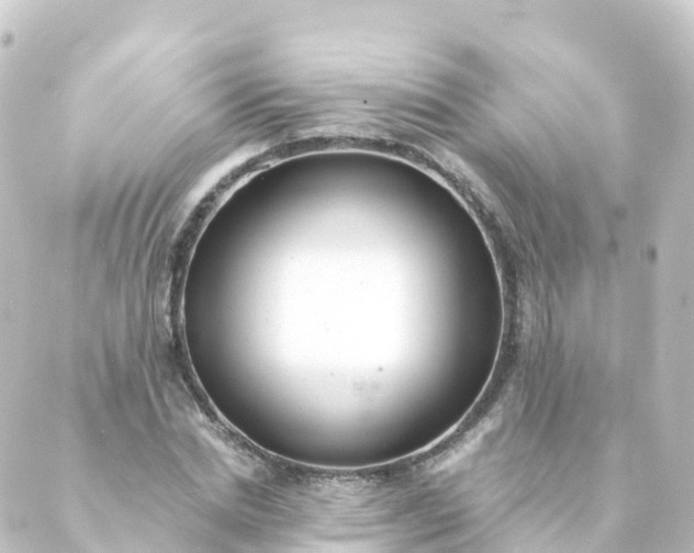 X0000088890830200706221838