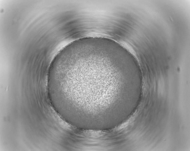 X0000088890831200706221838