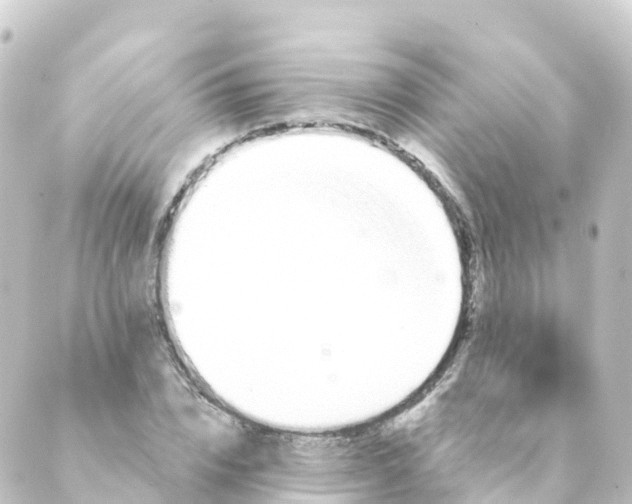 X0000088890832200706221838