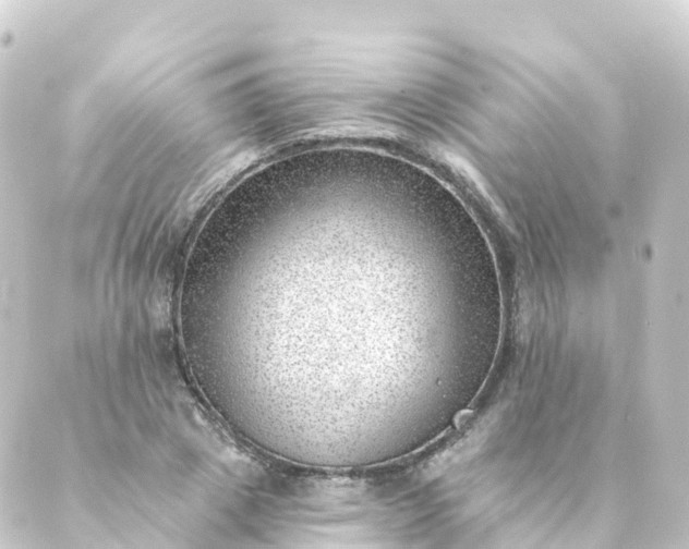 X0000088890833200706221838