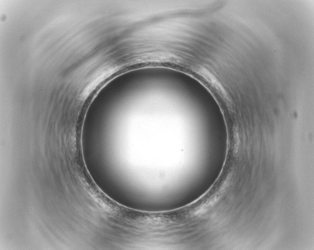 X0000088890834200706221838