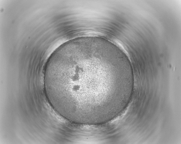 X0000088890835200706221838