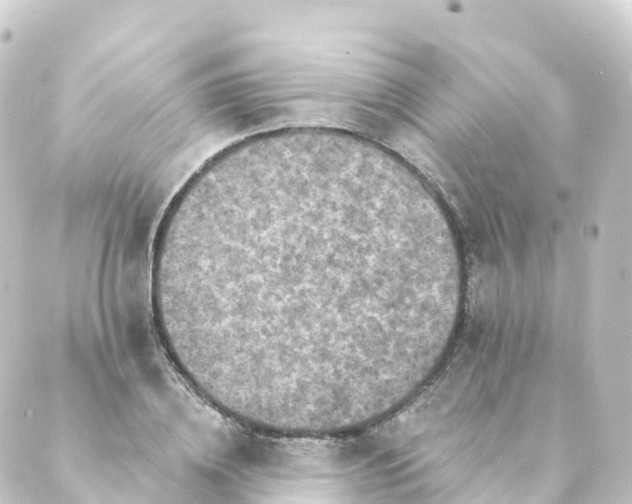 X0000088890836200706221838