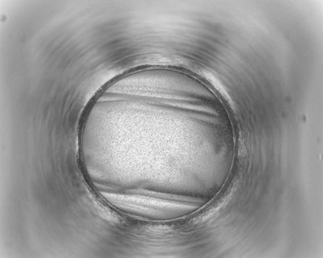 X0000088890837200706221838