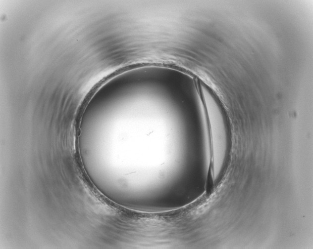 X0000088890838200706221838