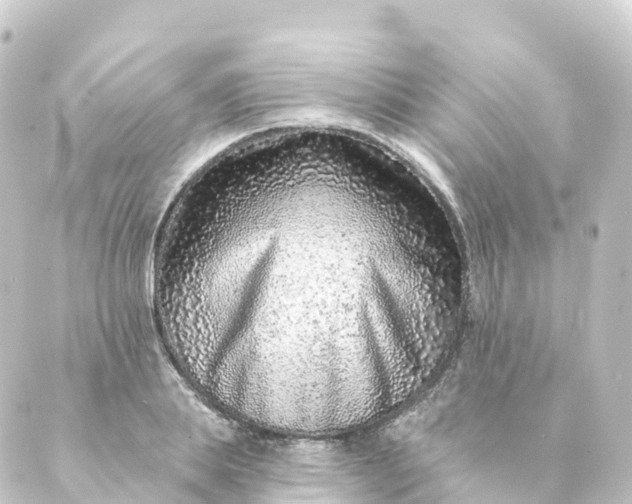 X0000088890839200706221838