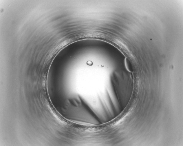 X0000088890841200706221838