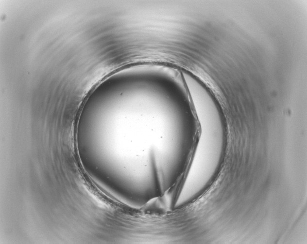 X0000088890842200706221838