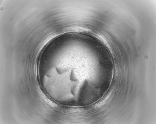 X0000088890843200706221838