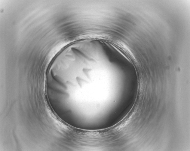 X0000088890844200706221838