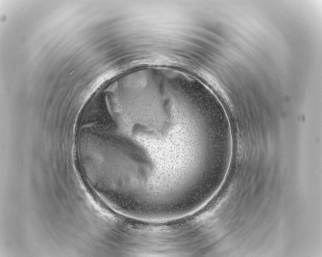 X0000088890845200706221838