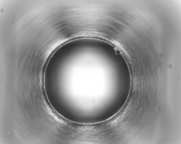 X0000088890846200706221838