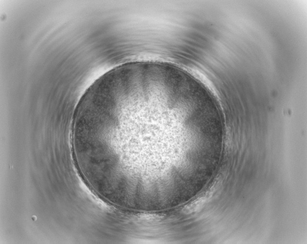 X0000088890847200706221838