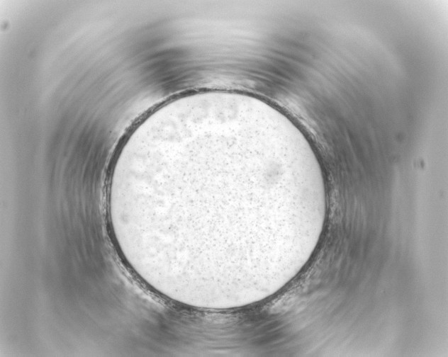 X0000088890848200706221838