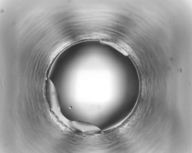 X0000088890850200706221838