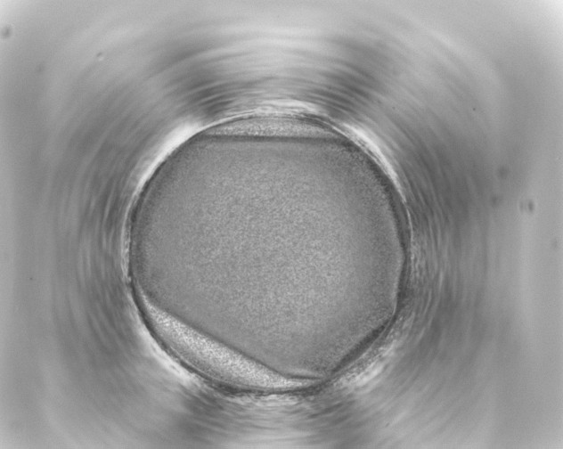 X0000088890851200706221838