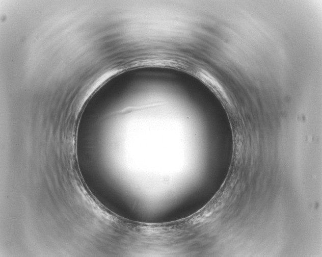 X0000088890852200706221838