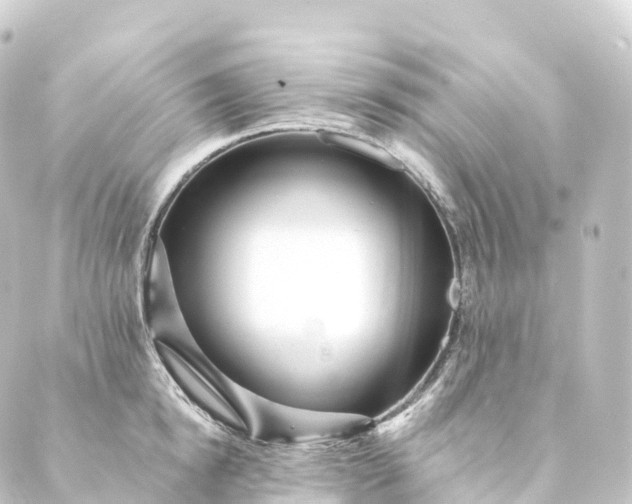 X0000088890854200706221838